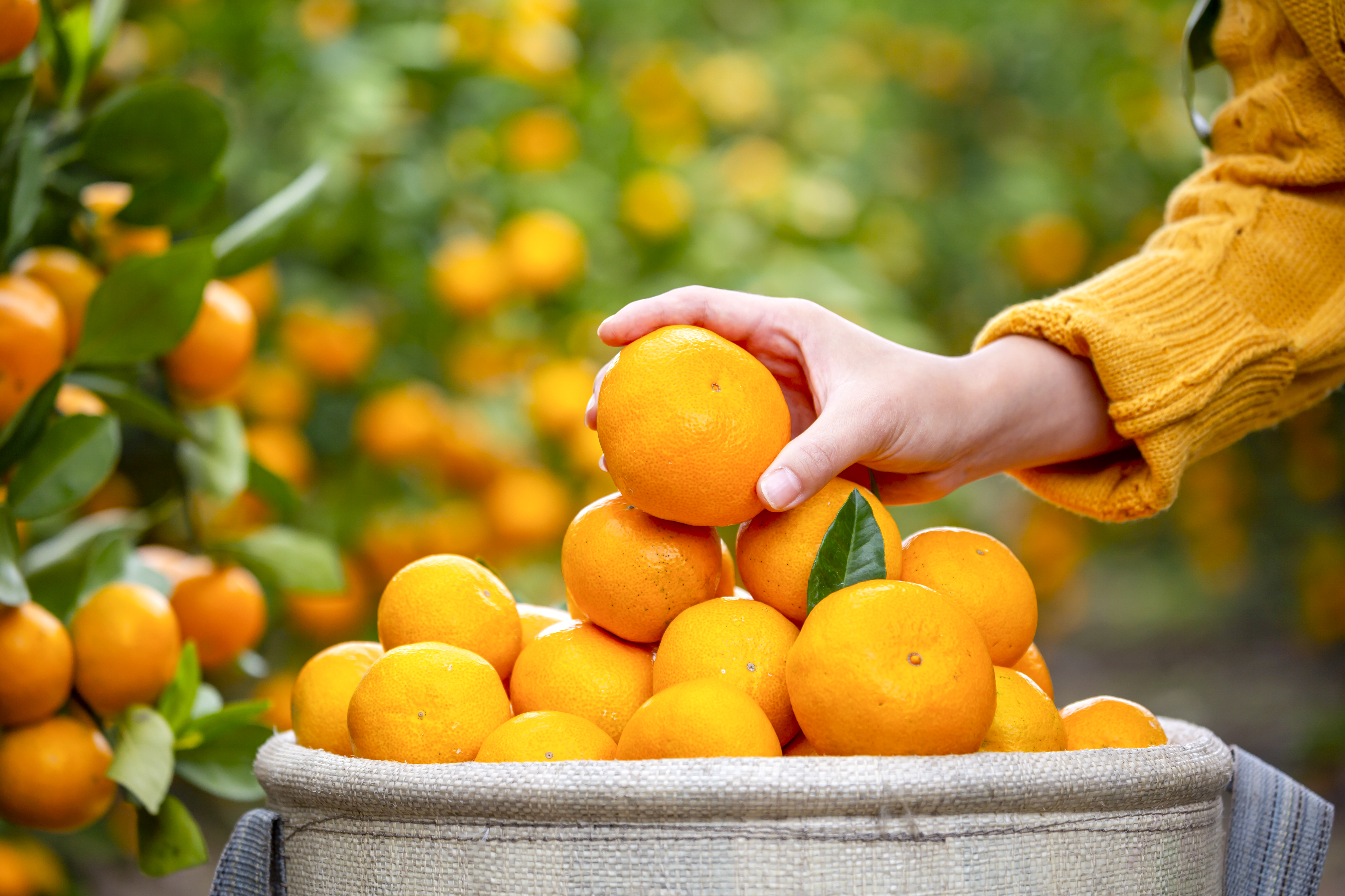 홈페이지 테스트