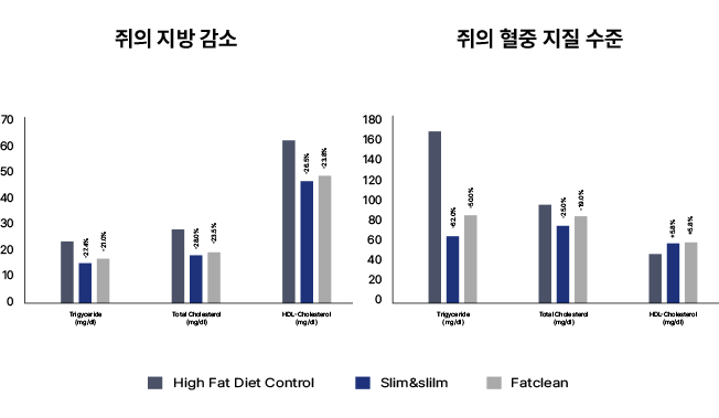 쥐의 혈중 지질 수준